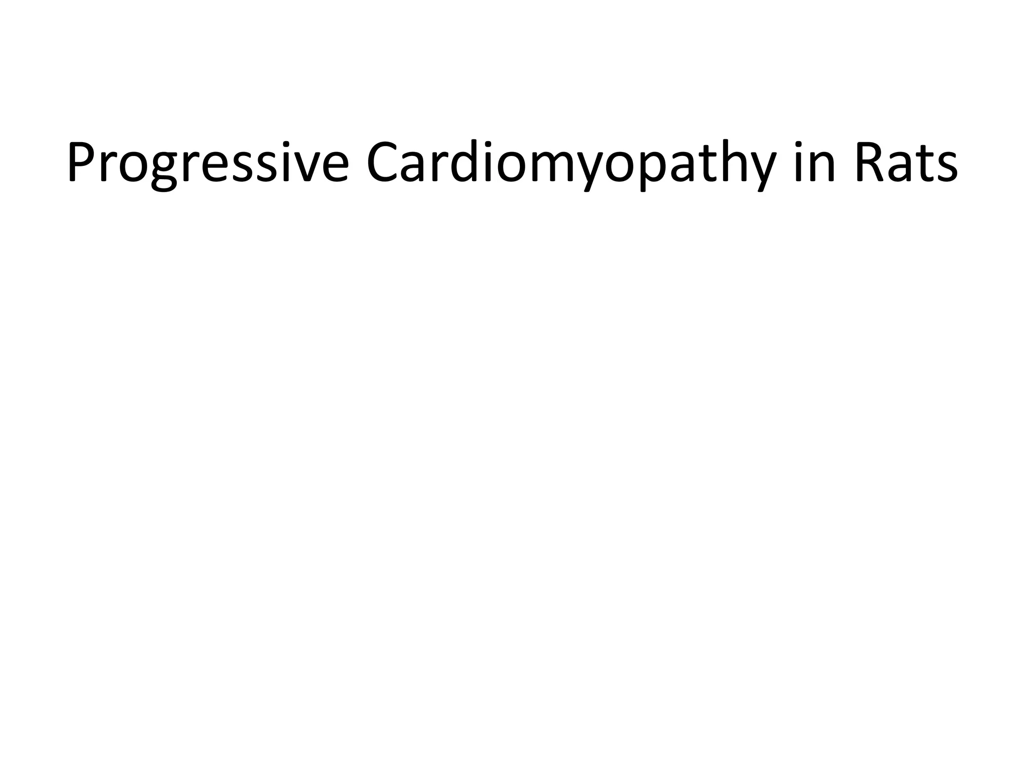 Progressive Cardiomyopathy in Rats
 