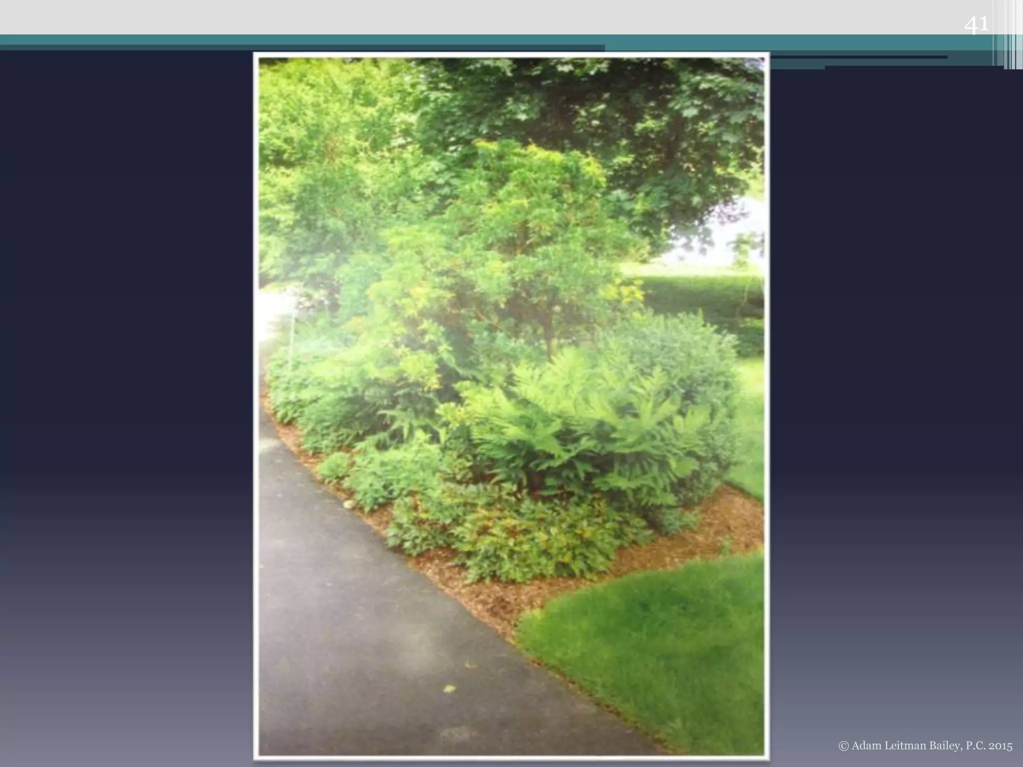 41
© Adam Leitman Bailey, P.C. 2015
 