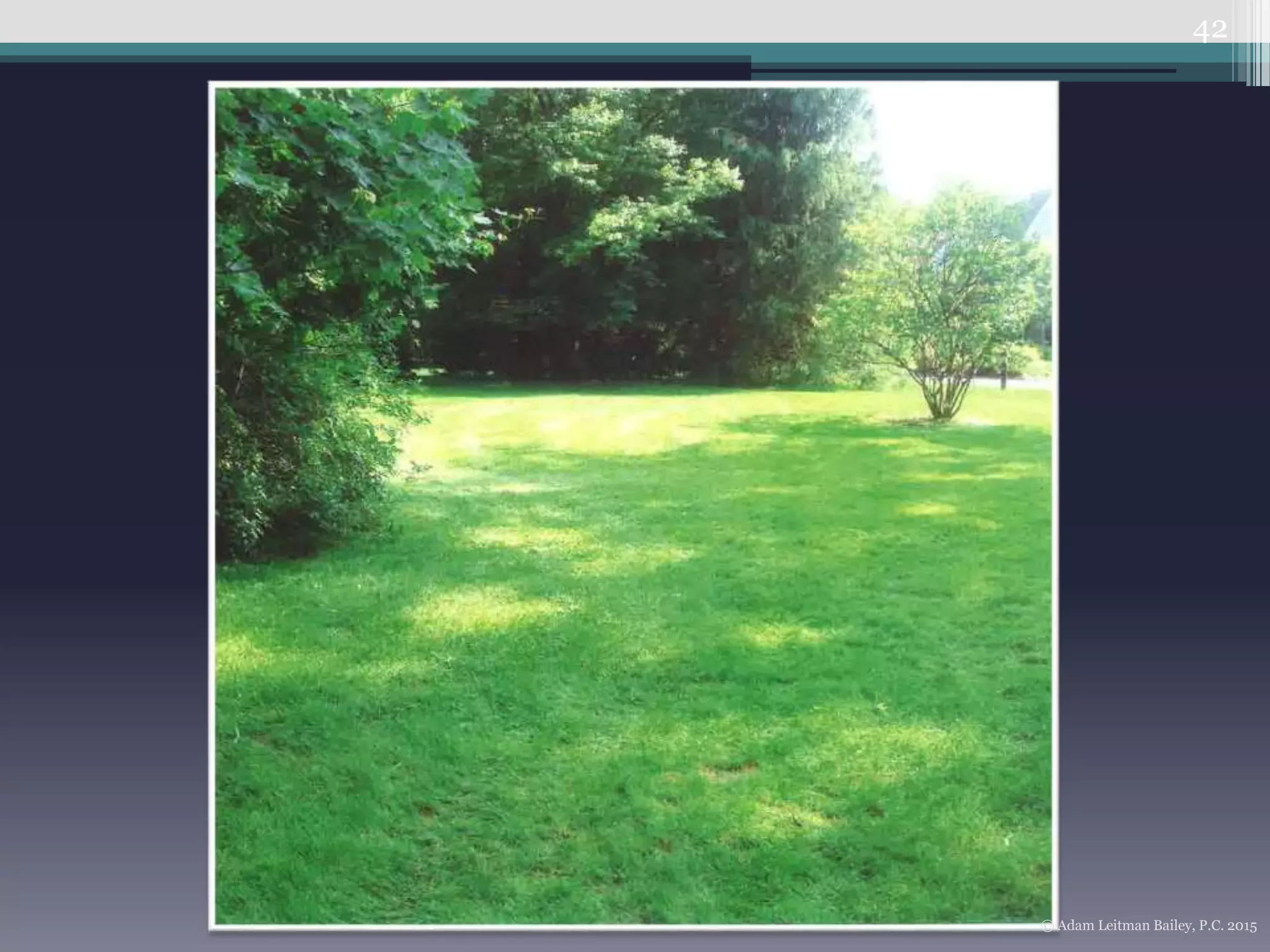 42
© Adam Leitman Bailey, P.C. 2015
 