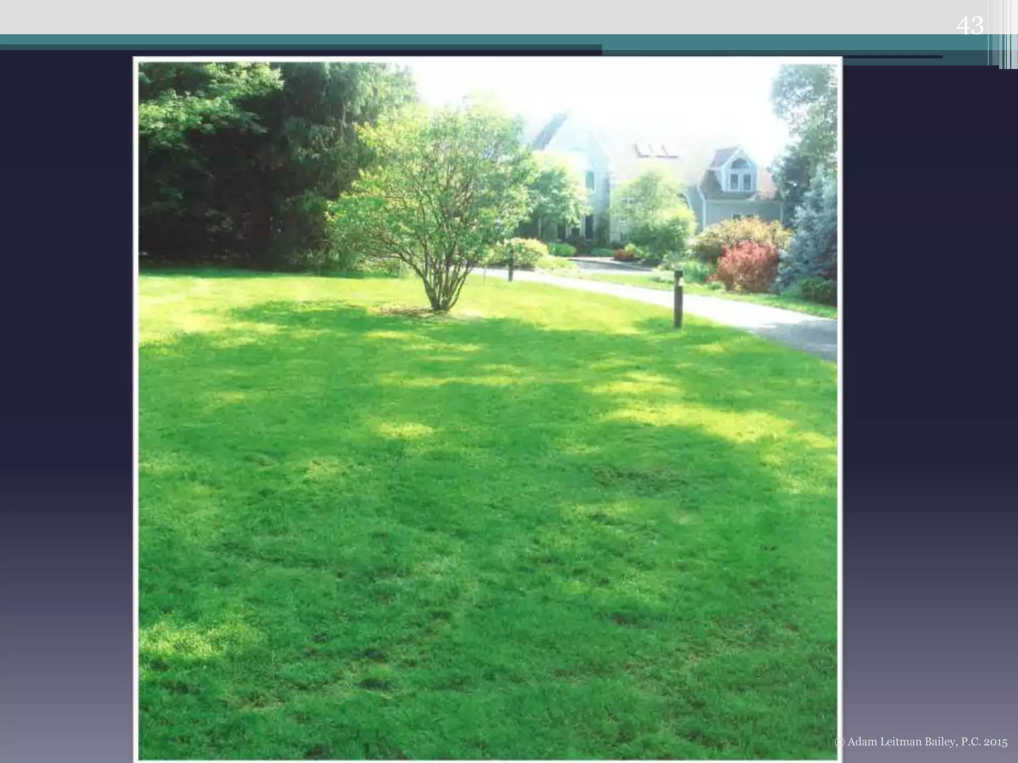43
© Adam Leitman Bailey, P.C. 2015
 