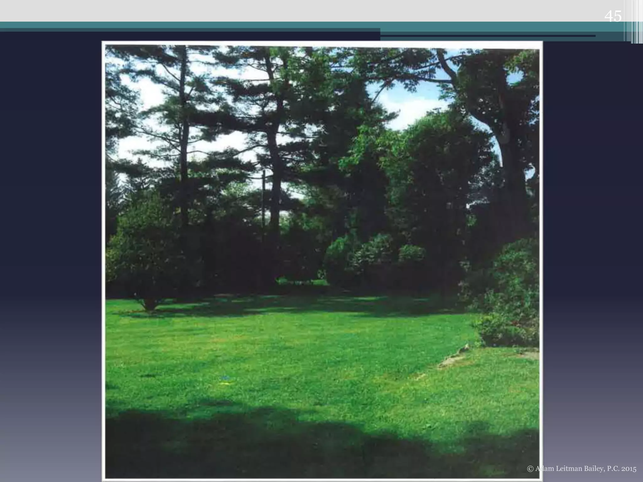 45
© Adam Leitman Bailey, P.C. 2015
 