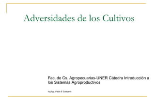 Adversidades de los Cultivos Fac. de Cs. Agropecuarias-UNER Cátedra Introducción a los Sistemas Agroproductivos Ing Agr. Pablo E Guelperin 