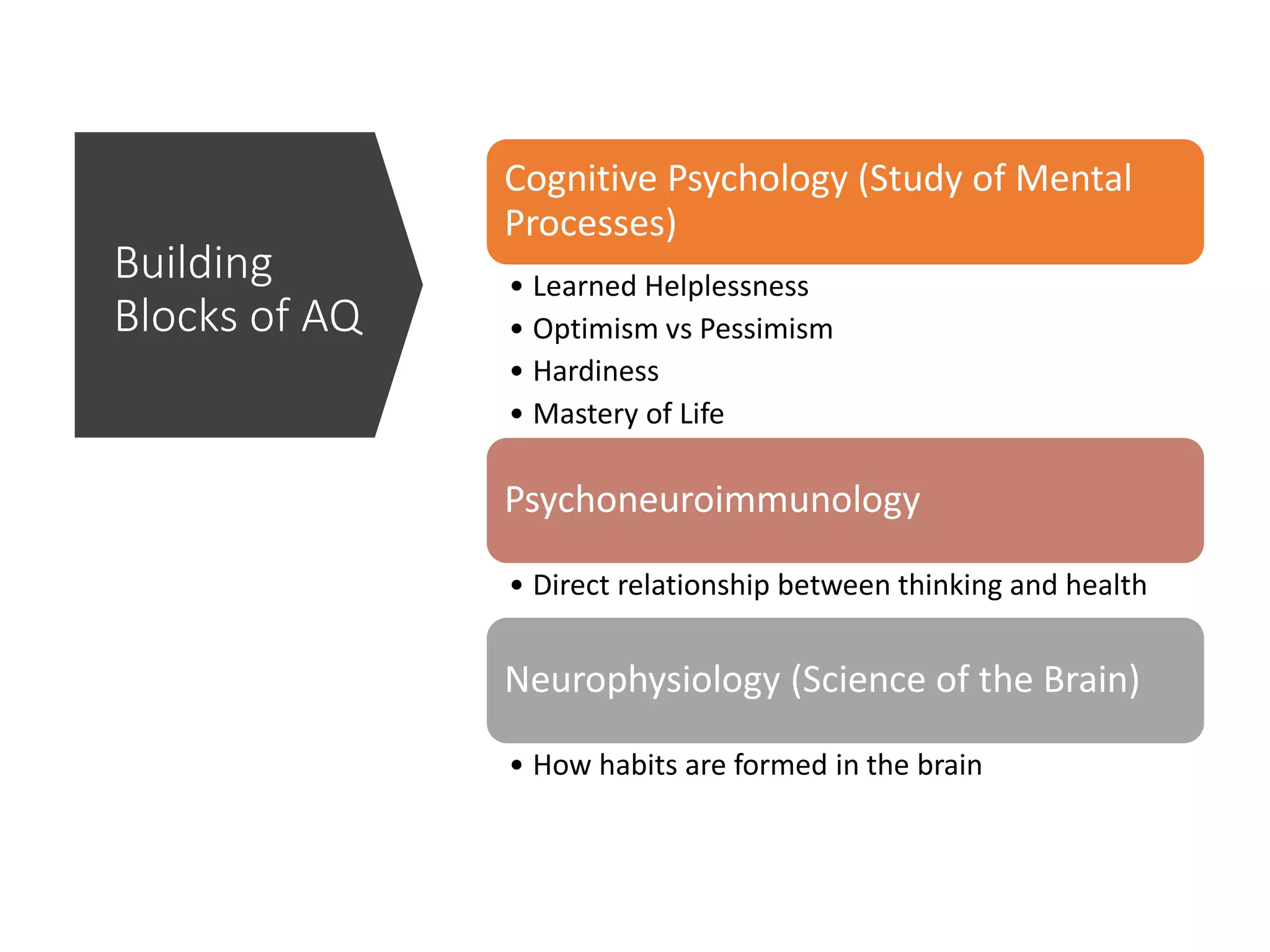 Building
Blocks of AQ
Cognitive Psychology (Study of Mental
Processes)
• Learned Helplessness
• Optimism vs Pessimism
• Hardiness
• Mastery of Life
Psychoneuroimmunology
• Direct relationship between thinking and health
Neurophysiology (Science of the Brain)
• How habits are formed in the brain
 