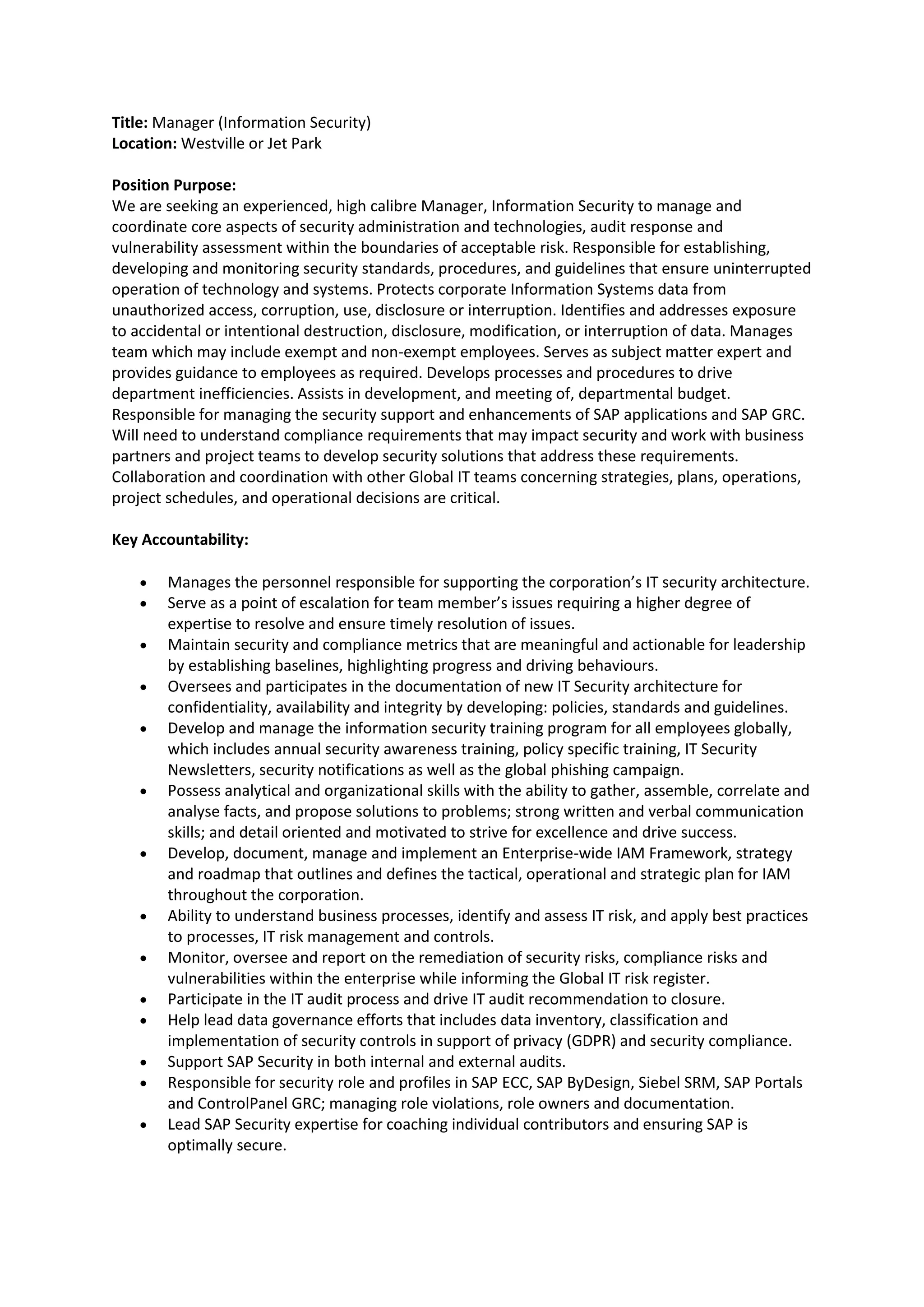 Information Security Manager | PDF