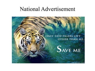 National Advertisement
 