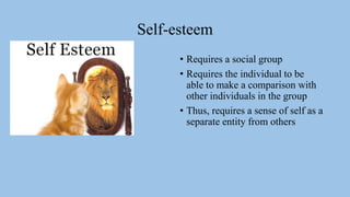 Self-esteem
• Requires a social group
• Requires the individual to be
able to make a comparison with
other individuals in the group
• Thus, requires a sense of self as a
separate entity from others
 
