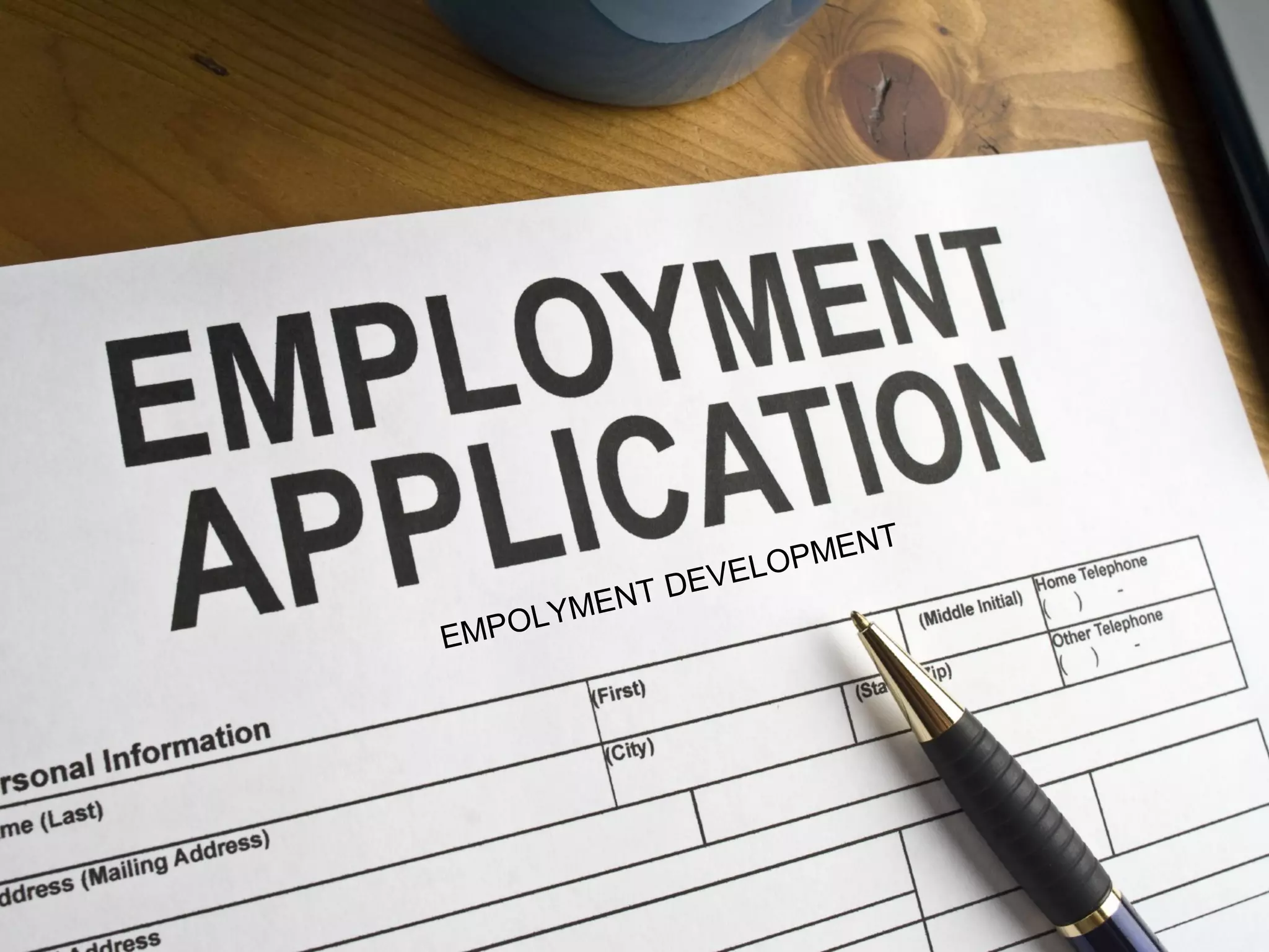 EMPOLYMENT DEVELOPMENT
 