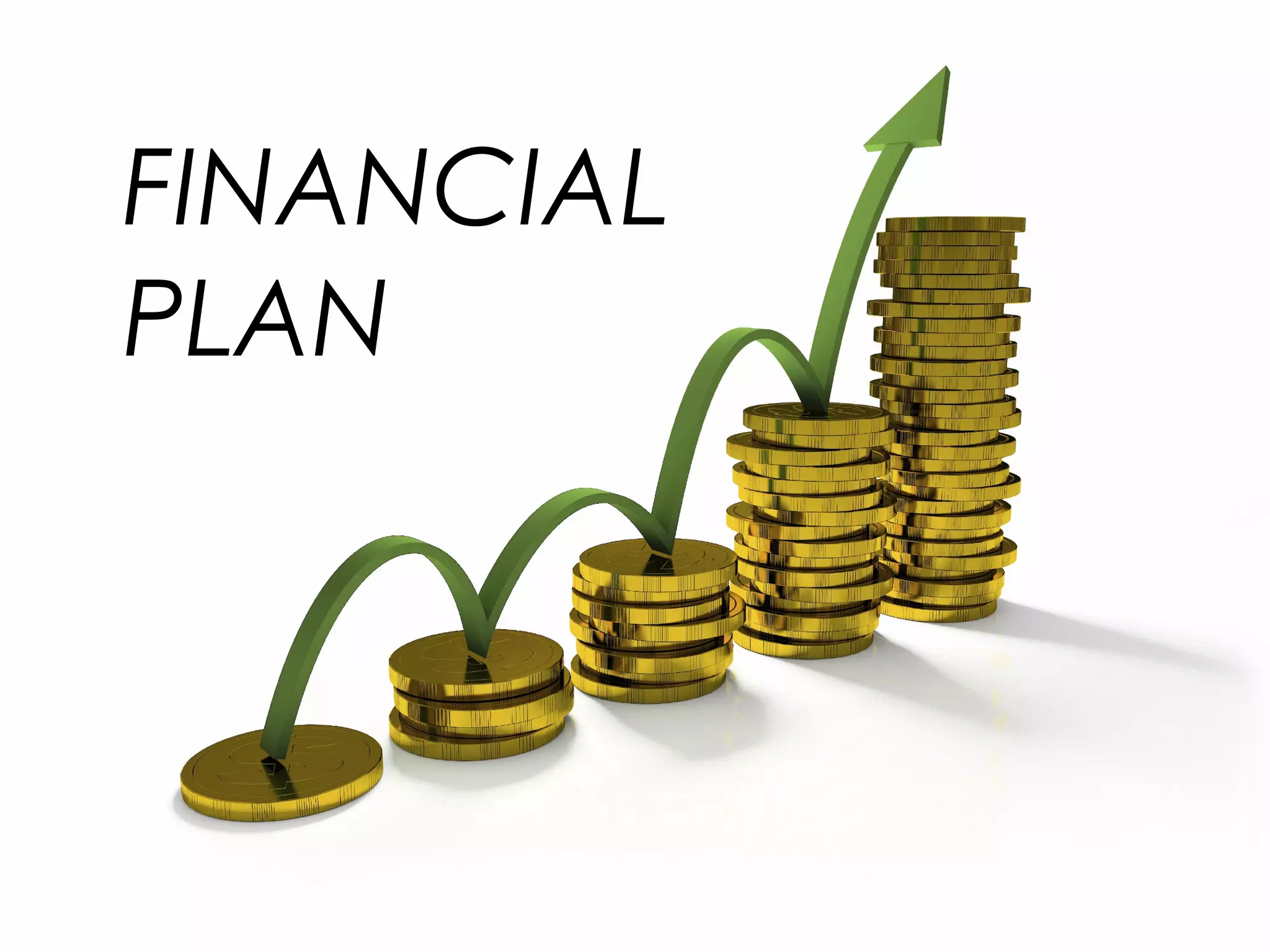 FINANCIAL
PLAN
 