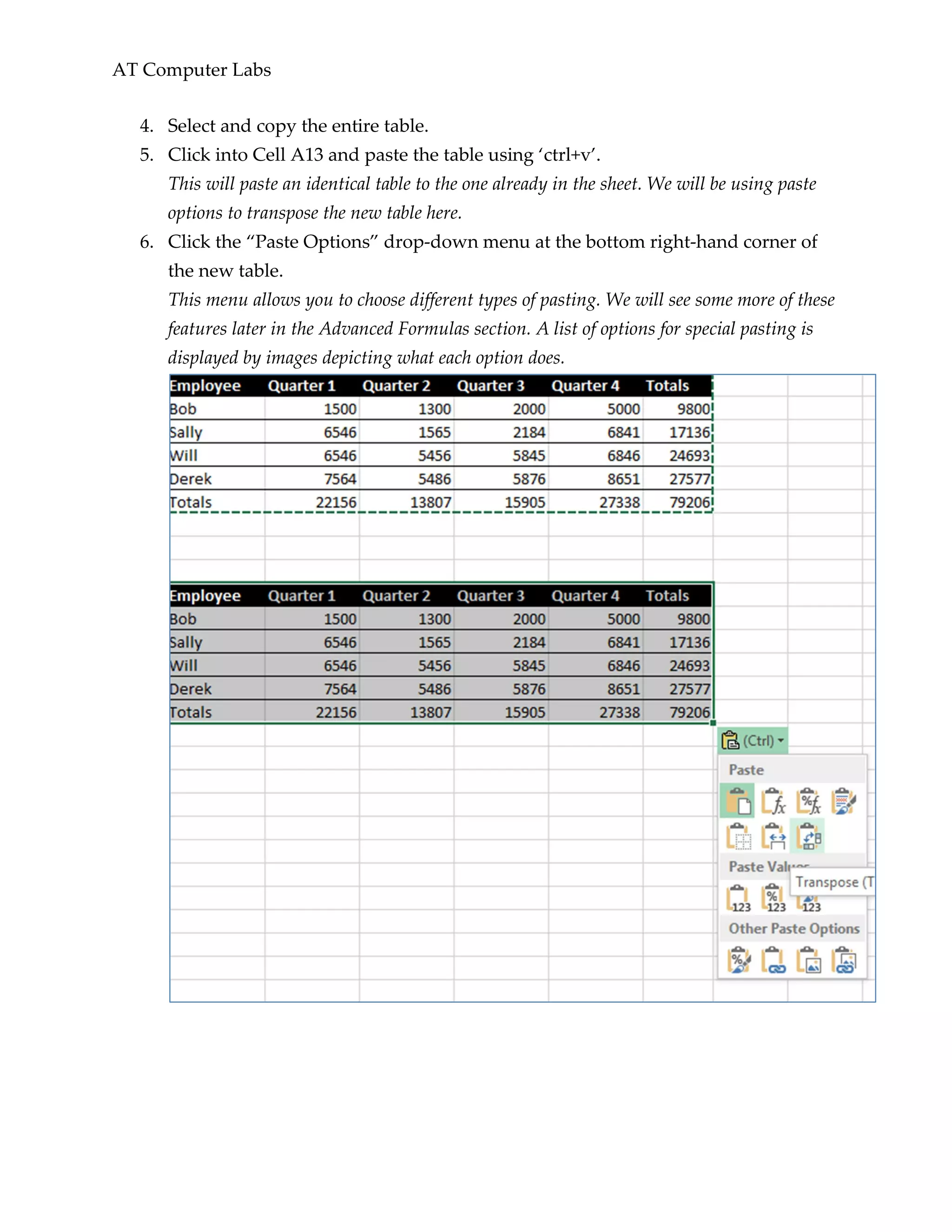 AT Computer Labs
4. Select and copy the entire table.
5. Click into Cell A13 and paste the table using ‘ctrl+v’.
This will paste an identical table to the one already in the sheet. We will be using paste
options to transpose the new table here.
6. Click the “Paste Options” drop-down menu at the bottom right-hand corner of
the new table.
This menu allows you to choose different types of pasting. We will see some more of these
features later in the Advanced Formulas section. A list of options for special pasting is
displayed by images depicting what each option does.
 