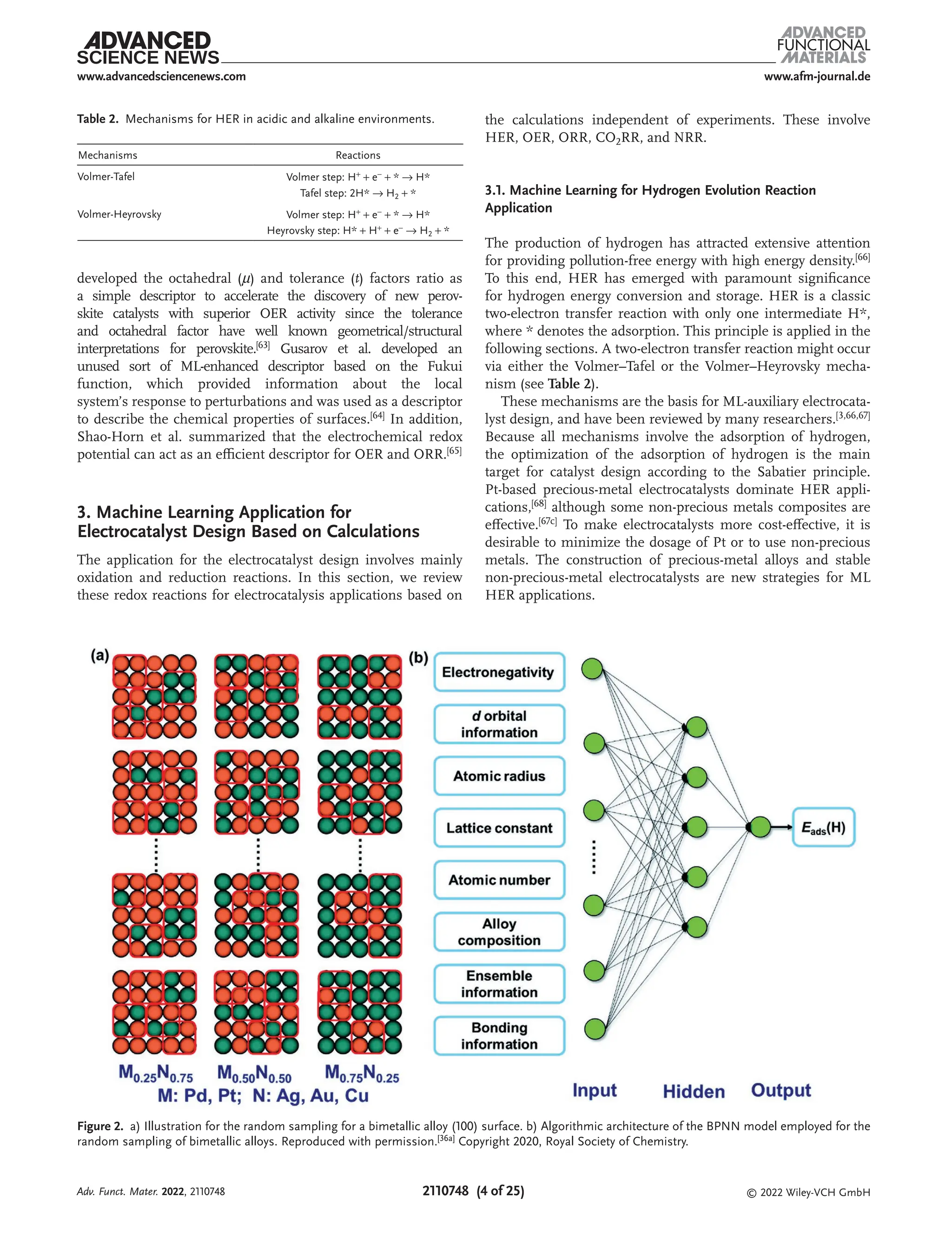 www.afm-journal.de
www.advancedsciencenews.com
2110748 (4 of 25) © 2022 Wiley-VCH GmbH
developed the octahedral (µ) and tolerance (t) factors ratio as
a simple descriptor to accelerate the discovery of new perov­
skite catalysts with superior OER activity since the tolerance
and octahedral factor have well known geometrical/structural
interpretations for perovskite.[63] Gusarov et al. developed an
unused sort of ML-enhanced descriptor based on the Fukui
function, which provided information about the local
system’s response to perturbations and was used as a descriptor
to describe the chemical properties of surfaces.[64] In addition,
Shao-Horn et al. summarized that the electrochemical redox
potential can act as an efficient descriptor for OER and ORR.[65]
3. Machine Learning Application for
Electrocatalyst Design Based on Calculations
The application for the electrocatalyst design involves mainly
oxidation and reduction reactions. In this section, we review
these redox reactions for electrocatalysis applications based on
the calculations independent of experiments. These involve
HER, OER, ORR, CO2RR, and NRR.
3.1. Machine Learning for Hydrogen Evolution Reaction
Application
The production of hydrogen has attracted extensive attention
for providing pollution-free energy with high energy density.[66]
To this end, HER has emerged with paramount significance
for hydrogen energy conversion and storage. HER is a classic
two-electron transfer reaction with only one intermediate H*,
where * denotes the adsorption. This principle is applied in the
following sections. A two-electron transfer reaction might occur
via either the Volmer–Tafel or the Volmer–Heyrovsky mecha-
nism (see Table 2).
These mechanisms are the basis for ML-auxiliary electrocata-
lyst design, and have been reviewed by many researchers.[3,66,67]
Because all mechanisms involve the adsorption of hydrogen,
the optimization of the adsorption of hydrogen is the main
target for catalyst design according to the Sabatier principle.
Pt-based precious-metal electrocatalysts dominate HER appli-
cations,[68] although some non-precious metals composites are
effective.[67c] To make electrocatalysts more cost-effective, it is
desirable to minimize the dosage of Pt or to use non-precious
metals. The construction of precious-metal alloys and stable
non-precious-metal electrocatalysts are new strategies for ML
HER applications.
Table 2. Mechanisms for HER in acidic and alkaline environments.
Mechanisms Reactions
Volmer-Tafel Volmer step: H+
+ e−
+ * → H*
Tafel step: 2H* → H2 + *
Volmer-Heyrovsky Volmer step: H+
+ e−
+ * → H*
Heyrovsky step: H* + H+
+ e−
→ H2 + *
Figure 2. a) Illustration for the random sampling for a bimetallic alloy (100) surface. b) Algorithmic architecture of the BPNN model employed for the
random sampling of bimetallic alloys. Reproduced with permission.[36a] Copyright 2020, Royal Society of Chemistry.
Adv. Funct. Mater. 2022, 2110748
 