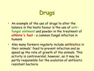 Drugs An example of the use of drugs to alter the balance in the hosts favour is the use of  anti-fungal ointment  and powder in the treatment of  athlete's foot  - a common fungal infection in humans Also many farmers regularly include  antibiotics  in their animals' feed to prevent infection and so speed up the rate of growth of the animals. This activity is controversial, however, as it may be partly responsible for the evolution of antibiotic resistant bacteria 