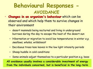 Behavioural Responses -  AVOIDANCE Changes in an organism's behaviour  which can be observed and which help them to survive changes in their environment desert mammals being nocturnal and living in underground burrows during the day to escape the heat of the desert sun  Hibernation or migration to avoid low temperatures in winter  e.g. swallows, whales, wildebeest Deciduous trees lose leaves in the low light intensity periods  Sheep huddle in cold conditions  Some animals adjust themselves to a particular position e.g. bees use wings to cool the hive All avoidance usually involves a considerable investment of energy from the individuals concerned, but is beneficial in the long-term 