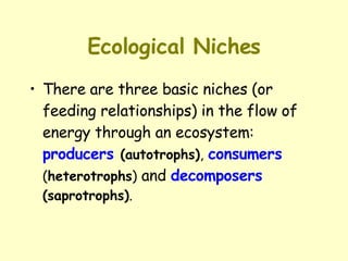 Ecological Niches There are three basic niches (or feeding relationships) in the flow of energy through an ecosystem:  producers  (autotrophs) ,   consumers   ( heterotrophs )  and  decomposers  (saprotrophs) . 