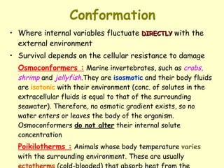Conformation Where internal variables fluctuate  DIRECTLY  with the external environment Survival depends on the cellular resistance to damage Osmoconformers :   Marine invertebrates, such as  crabs, shrimp  and  jellyfish .They are  isosmotic  and their body fluids are  isotonic  with their environment (conc. of solutes in the extracellular fluids is equal to that of the surrounding seawater). Therefore, no osmotic gradient exists, so no water enters or leaves the body of the organism. Osmoconformers  do not alter  their internal solute concentration Poikilotherms :   Animals whose body temperature  varies  with the surrounding environment. These are usually  ectotherms  (cold-blooded) that absorb heat from the surrounding environment  e.g. snakes, lizards  and  marine fish 