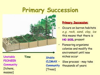 Primary Succession Primary Succession : Occurs on barren habitats  e.g. rock, sand, clay, ice  this means that there is  NO SOIL  present Pioneering organisms colonise and modify the environment until new niches occur Slow process - may take thousands of years Time Unstable PIONEER Community [lichens, mosses] Stable  CLIMAX Community [Trees] 