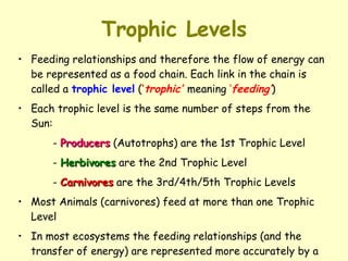 Trophic Levels Feeding relationships and therefore the flow of energy can be represented as a food chain. Each link in the chain is called a  trophic level  ( ‘ trophic’   meaning  ‘ feeding’ )  Each trophic level is the same number of steps from the Sun:  -  Producers  (Autotrophs) are the 1st Trophic Level -  Herbivores  are the 2nd Trophic Level -  Carnivores  are the 3rd/4th/5th Trophic Levels Most Animals (carnivores) feed at more than one Trophic Level In most ecosystems the feeding relationships (and the transfer of energy) are represented more accurately by a  food web 