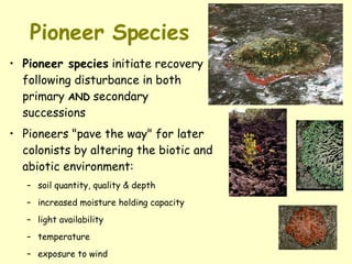 Pioneer Species Pioneer species  initiate recovery following disturbance in both primary  AND  secondary successions  Pioneers "pave the way" for later colonists by altering the biotic and abiotic environment: soil quantity, quality & depth  increased moisture holding capacity  light availability  temperature  exposure to wind Examples:  Lichens and mosses 