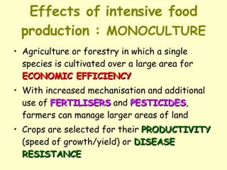 Effects of intensive food production :  MONOCULTURE Agriculture or forestry in which a single species is cultivated over a large area for  ECONOMIC EFFICIENCY With increased mechanisation and additional use of  FERTILISERS  and  PESTICIDES , farmers can manage larger areas of land Crops are selected for their  PRODUCTIVITY  (speed of growth/yield) or  DISEASE   RESISTANCE 