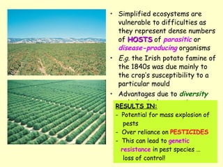 Simplified ecosystems are vulnerable to difficulties as they represent dense numbers of  HOSTS  of  parasitic  or  disease-producing  organisms E.g.  the Irish potato famine of the 1840s was due mainly to the crop’s susceptibility to a particular mould  Advantages due to  diversity  and  physical separation  are lost RESULTS IN: Potential for mass explosion of pests Over reliance on  PESTICIDES This can lead to  genetic  resistance  in pest species … loss of control! 