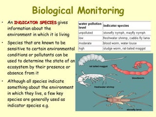 Biological Monitoring An  INDICATOR SPECIES  gives information about the environment in which it is living Species that are known to be sensitive to certain environmental conditions or pollutants can be used to determine the state of an ecosystem by their presence or absence from it Although all species indicate something about the environment in which they live, a few key species are generally used as indicator species e.g.  