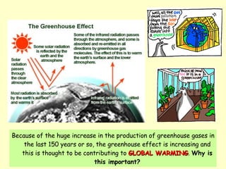 Because of the huge increase in the production of greenhouse gases in the last 150 years or so, the greenhouse effect is increasing and this is thought to be contributing to  GLOBAL WARMING .  Why is this important?                                                                                                     