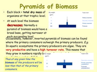 Pyramids of Biomass Each block =  total dry mass  of organisms at that trophic level.  At each level the biomass  decreases . Normally a pyramid of biomass would have a broad base, getting narrower at each succeeding level.   Occasionally, however, inverted pyramids of biomass can be found where the primary consumers outweigh the primary producers.  E.g.  In aquatic ecosystems the primary producers are algae. They are  very productive  and have a  high turnover rate . This means that they grow in numbers rapidly but are also eaten in large numbers by zooplankton and small fish.   Thus at any given time the  biomass  of the producers will be less than that of the primary consumers. 