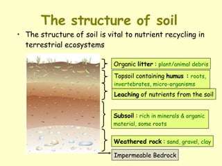 The structure of soil   The structure of soil is vital to nutrient recycling in terrestrial ecosystems Organic  litter  :  plant/animal debris Topsoil containing  humus :   roots,  invertebrates, micro-organisms Leaching  of nutrients from the soil Subsoil  :  rich in minerals & organic  material, some roots Weathered rock  :  sand, gravel, clay Impermeable Bedrock 