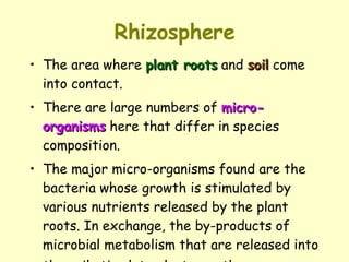 Rhizosphere The area where  plant roots  and  soil  come into contact.  There are large numbers of  micro-organisms  here that differ in species composition.  The major micro-organisms found are the bacteria whose growth is stimulated by various nutrients released by the plant roots. In exchange, the by-products of microbial metabolism that are released into the soil stimulate plant growth.   
