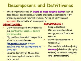 Decomposers and Detritivores These organisms feed on  waste or dead organic matter  such as dead leaves, dead bodies, or waste products, decomposing it by producing enzymes to break it down. Action of  detritivores   increases  the activity of  decomposers :- DETRITIVORES : Detritus eating soil invertebrates  e.g.   Earthworms, woodlice, spiders and nematodes . Physically reduce  detritus  particle sizes to produce  humus   [ FRAGMENTATION = Larger surface area for decomposers to work on!] Enhance fertility of the soil by incorporating leaf surface litter into the soil PHYSICAL DECOMPOSITION DECOMPOSERS : Fungi & Bacteria  Use waste materials as energy, carbon & nutrient sources Carry out respiration to release CO 2 Chemically breakdown [using  ENZYMES ]  detritus  (decaying matter) to release inorganic ions ( mineralisation ) CHEMICAL DECOMPOSITION 
