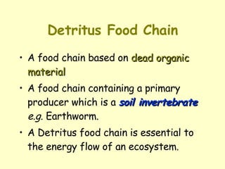 Detritus Food Chain   A food chain based on  dead organic material A food chain containing a primary producer which is a  soil invertebrate   e.g.  Earthworm. A Detritus food chain is essential to the energy flow of an ecosystem. 