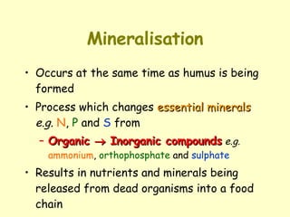 Mineralisation Occurs at the same time as humus is being formed Process which changes  essential minerals   e.g.   N ,  P  and  S  from  Organic    Inorganic compounds   e.g.   ammonium ,  orthophosphate  and  sulphate Results in nutrients and minerals being released from dead organisms into a food chain 