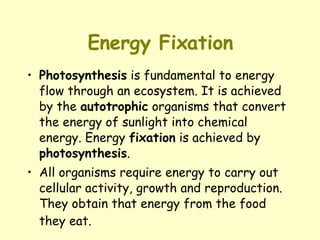 Energy Fixation Photosynthesis  is fundamental to energy flow through an ecosystem. It is achieved by the  autotrophic  organisms that convert the energy of sunlight into chemical energy. Energy  fixation  is achieved by  photosynthesis . All organisms require energy to carry out cellular activity, growth and reproduction. They obtain that energy from the food they eat.   