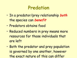 Predation In a predator/prey relationship  both  the species can  benefit   Predators obtains food  Reduced numbers in prey means more resources for those individuals that are left  Both the predator and prey population is governed by one another, however the exact nature of this can differ 