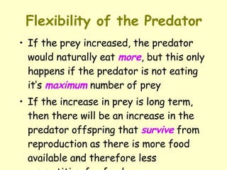 Flexibility of the Predator If the prey increased, the predator would naturally eat  more , but this only happens if the predator is not eating it’s  maximum  number of prey  If the increase in prey is long term, then there will be an increase in the predator offspring that  survive  from reproduction as there is more food available and therefore less competition for food 