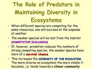 The Role of Predators in Maintaining Diversity in Ecosystems When different species are competing for the same resources, one will succeed at the expense of another  The weaker species will be lost from the habitat  [COMPETITIVE EXCLUSION]   If, however, predation reduces the numbers of strong competing species, the weaker species have more of a  survival chance This increases the  DIVERSITY OF THE ECOSYSTEM . The more diverse an ecosystem the more stable it becomes,  i.e.  tends towards a  climax community 