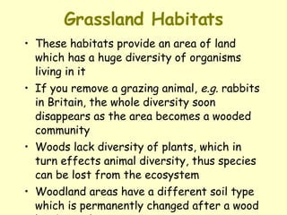 Grassland Habitats These habitats provide an area of land which has a huge diversity of organisms living in it  If you remove a grazing animal,  e.g.  rabbits in Britain, the whole diversity soon disappears as the area becomes a wooded community  Woods lack diversity of plants, which in turn effects animal diversity, thus species can be lost from the ecosystem  Woodland areas have a different soil type which is permanently changed after a wood has been there 