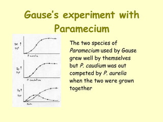 Gause’s experiment with Paramecium The two species of  Paramecium  used by Gause grew well by themselves but  P. caudium  was out competed by  P. aurelia  when the two were grown together 