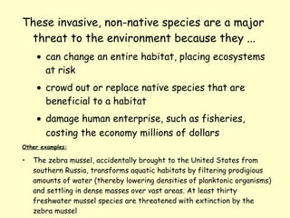 These invasive, non-native species are a major threat to the environment because they ...   can change an entire habitat, placing ecosystems at risk   crowd out or replace native species that are beneficial to a habitat   damage human enterprise, such as fisheries, costing the economy millions of dollars   Other examples: The zebra mussel, accidentally brought to the United States from southern Russia, transforms aquatic habitats by filtering prodigious amounts of water (thereby lowering densities of planktonic organisms) and settling in dense masses over vast areas. At least thirty freshwater mussel species are threatened with extinction by the zebra mussel [HANDOUT / RESEARCH] 
