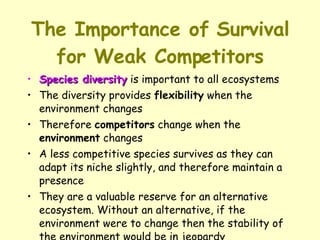 The Importance of Survival for Weak Competitors Species diversity  is important to all ecosystems  The diversity provides  flexibility  when the environment changes  Therefore  competitors  change when the  environment  changes  A less competitive species survives as they can adapt its niche slightly, and therefore maintain a presence  They are a valuable reserve for an alternative ecosystem. Without an alternative, if the environment were to change then the stability of the environment would be in jeopardy  