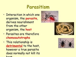 Parasitism Interaction in which one organism, the   parasite , derives nourishment from the other organism, the   host Parasites are therefore  chemoautotrophs This relationship is  detrimental  to the host,  however a true parasite does normally not kill its host 