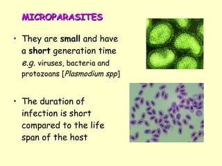 MICROPARASITES They are  small  and have a  short  generation time  e.g.   viruses, bacteria and protozoans [ Plasmodium spp ] The duration of infection is short compared to the life span of the host 