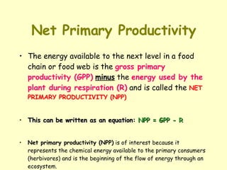 Net Primary Productivity The energy available to the next level in a food chain or food web is the  gross primary productivity (GPP)   minus  the  energy used by the plant during respiration (R)  and is called the  NET PRIMARY PRODUCTIVITY (NPP) This can be written as an equation:  NPP = GPP - R Net primary productivity (NPP)  is of interest because it represents the chemical energy available to the primary consumers (herbivores) and is the beginning of the flow of energy through an ecosystem. 