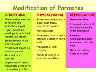 Modification of Parasites STRUCTURAL - Absence/degeneration of feeding and locomotory organs - Highly specialised mouth parts as in fluid feeders  e.g.  aphids - Boring devices to aid entry into host - Attachment organs  e.g.  hooks or suckers - Resistant outer covering - Degeneracy of sense organs associated with the constancy of the parasites environment PHYSIOLOGICAL - Exoenzyme production to digest host tissue external to parasite  - Anticoagulants  - Chemosensitivty to reach optimum location in hosts body  - Production of anti-enzymes  - Ability to respire in anaerobic conditions REPRODUCTIVE - Hermaphrodites  - Enormous numbers of reproductive bodies cysts and spores - Resistant reproduction bodies when external to the host - Use of secondary hosts as vectors 