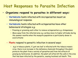 Host Responses to Parasite Infection Organisms respond to parasites in different ways: Vertebrate  hosts infected with microparasites mount an immunological response Vertebrate  hosts infected with ectoparasites have other behavioural strategies  e.g. Preening or grooming each other to remove ectoparasites  e.g.  chimpanzees.  Move away from the infected area  e.g.  caribou move to higher altitudes during the summer months when the mosquito population is particularly dense to avoid attacks Plants  respond to parasitic infection in several ways: e.g.   in tobacco plants, if just one leaf is infected with the tobacco mosaic virus, there is an increase in the defensive chemicals throughout the plant-protects the plant from a variety of parasites and from the effects of grazing by herbivores. In addition, the plant will often kill the cells in the area that has been infected by the parasite, causing localised cell death. This deprives the parasite of its source of food and prevents parasitic spread to other cells.   