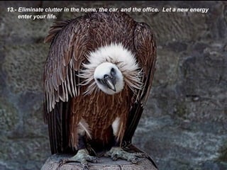 13.-  Eliminate clutter in the home, the car, and the office.  Let a new energy enter your life . 