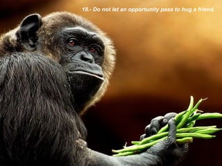 18.- Do not let an opportunity pass to hug a friend.   