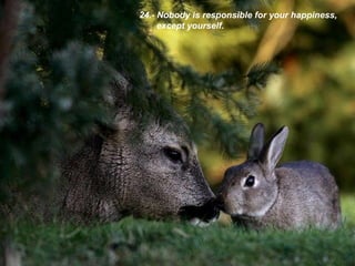 24.- Nobody is responsible for your happiness, except yourself. 