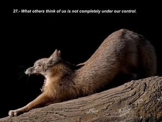 27.- What others think of us is not completely under our control. 