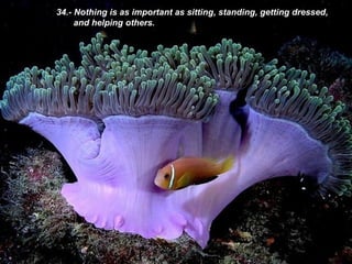 34.- Nothing is as important as sitting, standing, getting dressed, and helping others.  