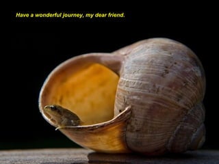 Have a wonderful journey, my dear friend. 